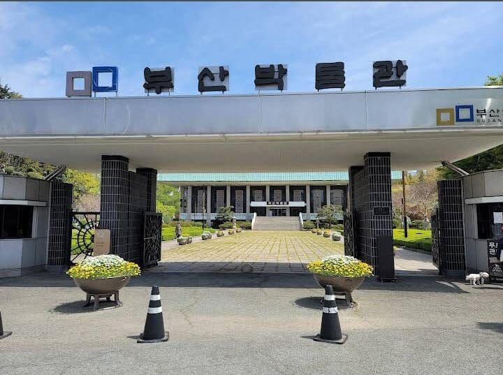 Busan Museum, the entrance of Busan Museum (from CHA CHA RYU in Google Maps)