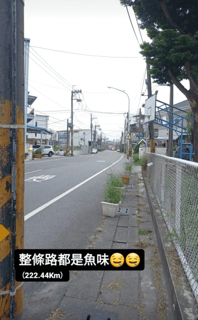單車環島 Day 3 整條路都是魚味