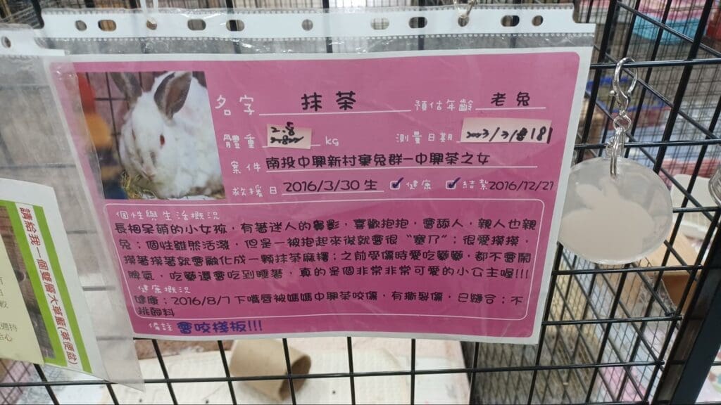 Taiwan Rabbit Saving Association - every bunny has its own name plate