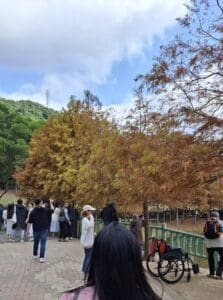 大家都在尋找最美的角度,建議多給彼此一點耐心與空間。